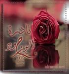 الصورة الرمزية نادرة الوجود